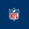 nfl-rbpcsvdjtjhgqg0l5b8j08qwtz0ncg63l95lrhhhj4-1